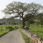 Casa De Aldea En El Concejo De Nava, En El Centro De Asturias Prázdninový dům Nava