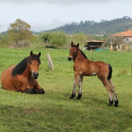 Casa De Aldea En El Concejo De Nava, En El Centro De Asturias * Nava
