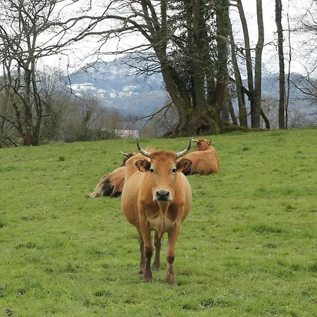 Σπίτι διακοπών Casa De Aldea En El Concejo De Nava, En El Centro De Asturias