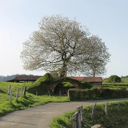 Casa De Aldea Monga 9 En Nava, Asturias בית נופש Nava