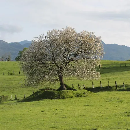Σπίτι διακοπών Casa De Aldea En El Concejo De Nava, En El Centro De Asturias *