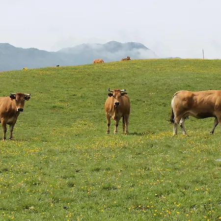 Σπίτι διακοπών Casa De Aldea En El Concejo De Nava, En El Centro De Asturias Nava