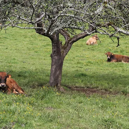 Casa De Aldea En El Concejo De Nava, En El Centro De Asturias Σπίτι διακοπών Nava