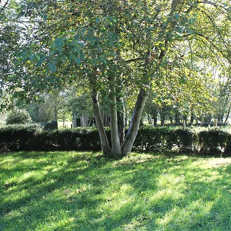 Casa De Aldea En El Concejo De Nava, En El Centro De Asturias *